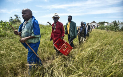 We don’t have to ‘sell nature to save it’