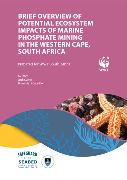 Brief overview of potential ecosystem impacts of marine phosphate mining in the Western Cape, South Africa