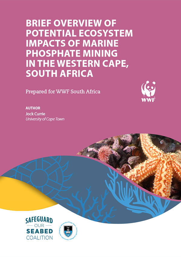 Brief overview of potential ecosystem impacts of marine phosphate mining in the Western Cape, South Africa