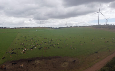 CER welcomes progress of Climate Bill in Parliament, calls for robust climate law