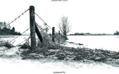 Director Duties and Liability for Climate Risk under South African Law