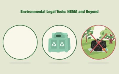 The South African Environmental Legal Framework to Sustain a Healthy Environment