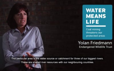 Water means life – Yolan Friedmann (Endangered Wildlife Trust)