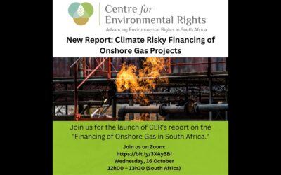 Webinar: Launch of CER’s Report – The financing of onshore Gas Projects in South Africa