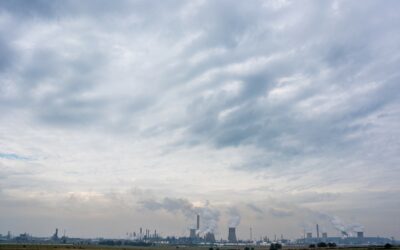 LAC Statement on Minister Creecy’s decision to grant  Sasol’s MES appeal