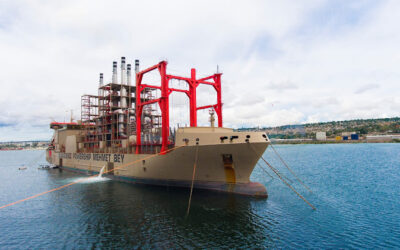 Richards Bay Karpowership's Environmental Authorisation Challenged in Appeal Process