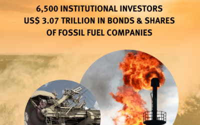 New data reveals extent of South African investors’ fossil fuel holdings